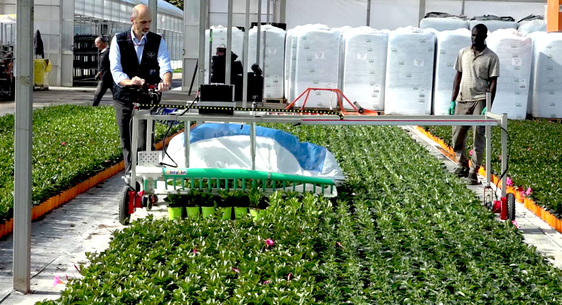 potarefacile in serra